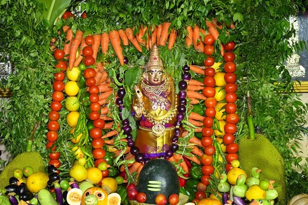 Sakambhari-festival-Srisaila-Bhramaramba.jpg