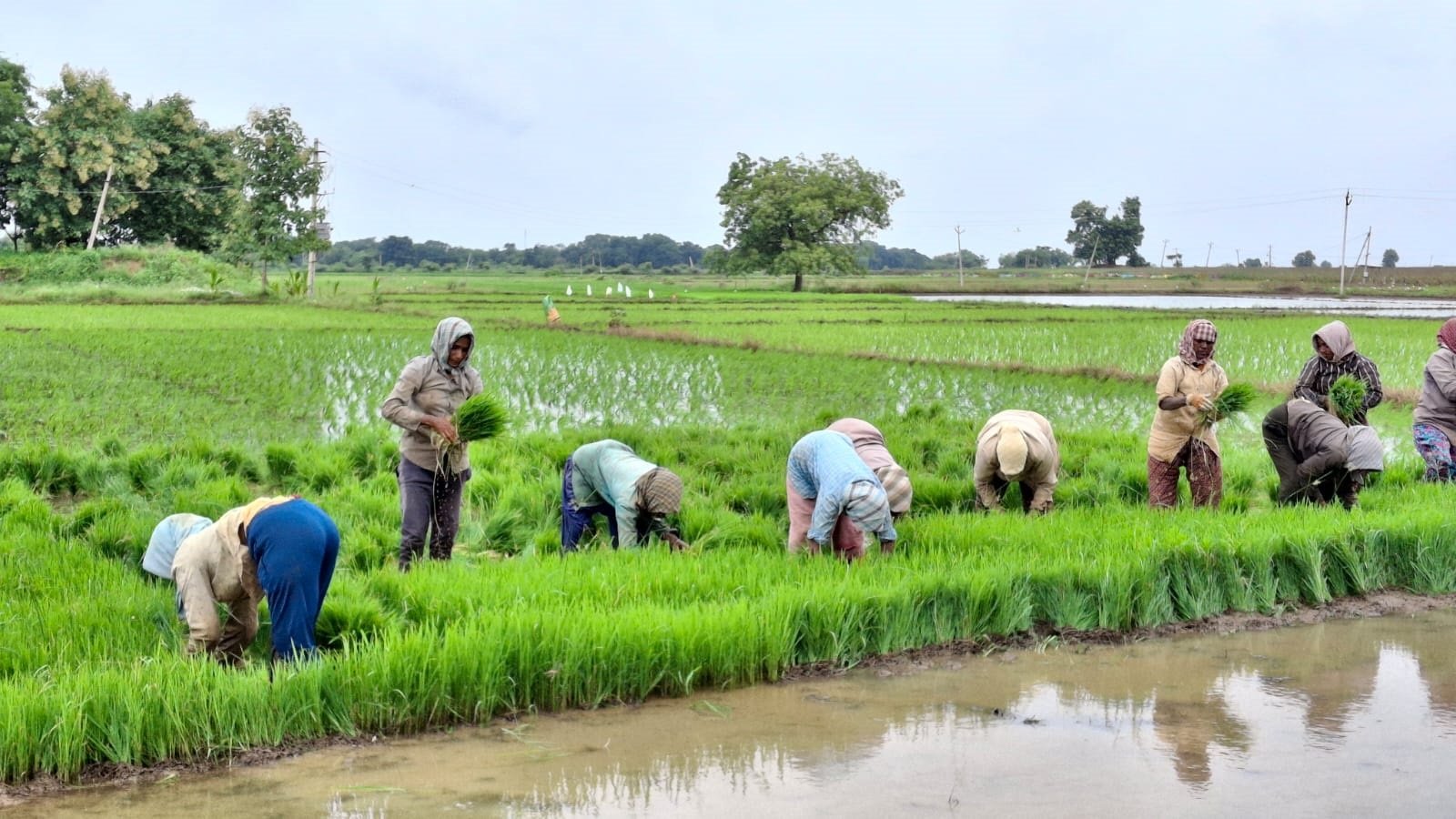 Expenditure on farmer welfare