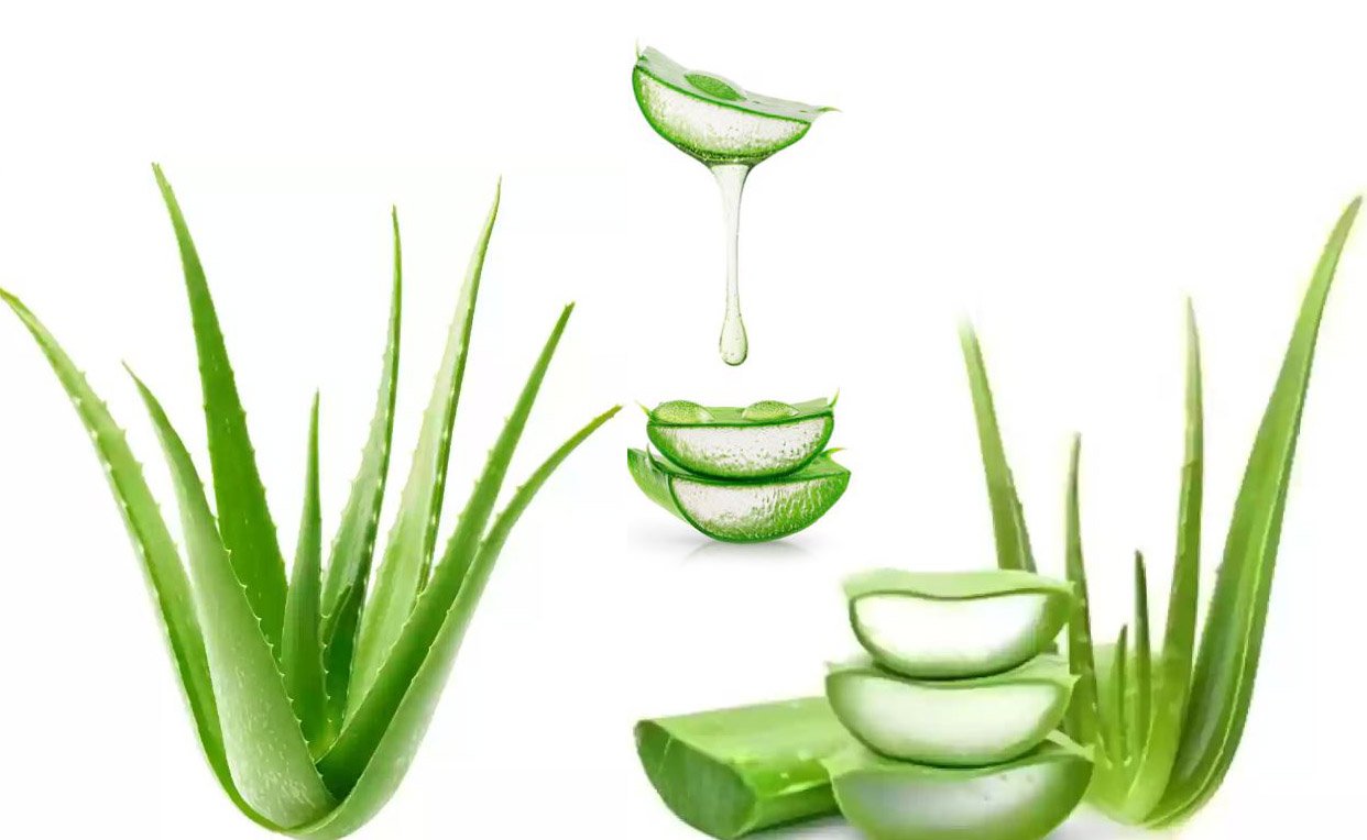 With-aloevera.menstrual-pain.jpg