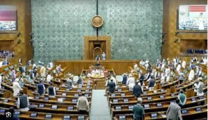 Debate in Parliament onthe Constitution