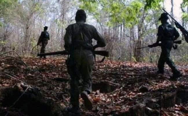 Five Maoists killed in encounter in Bijapur district