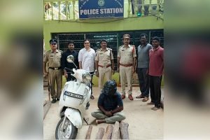 Red sandalwood siege